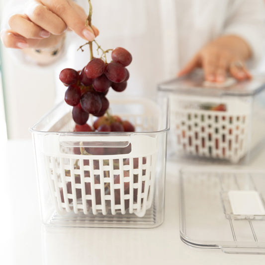 Fridge Storage Container with Basket (Single)
