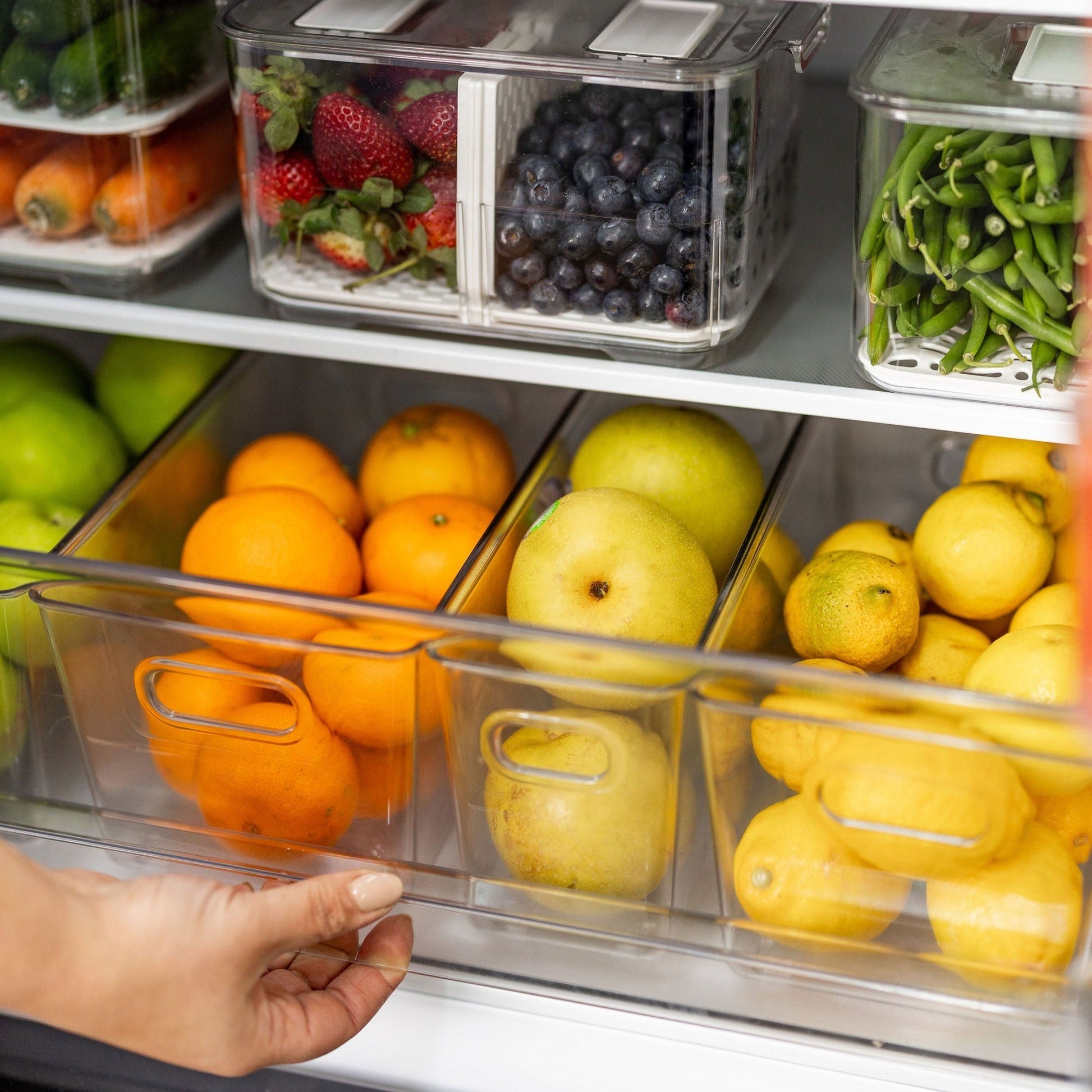 Clear Storage Tub Medium - Little Label Co The Home of Organisation For Kitchen, Bathroom, Laundry & More