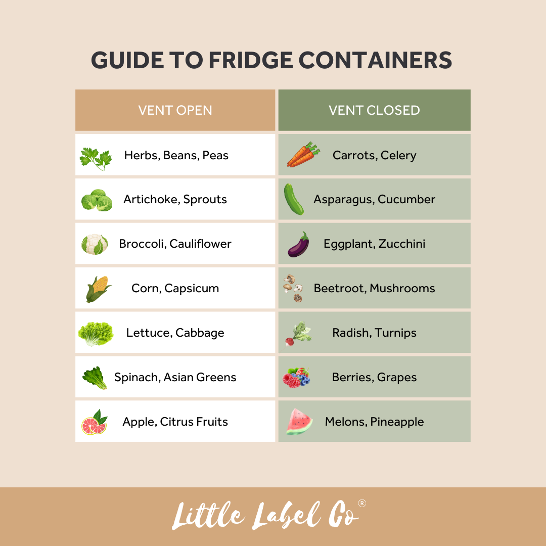 Fridge Organiser Set of 3 - Little Label Co The Home of Organisation For Kitchen, Bathroom, Laundry & More
