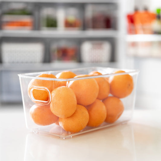 Clear Storage Tub Medium