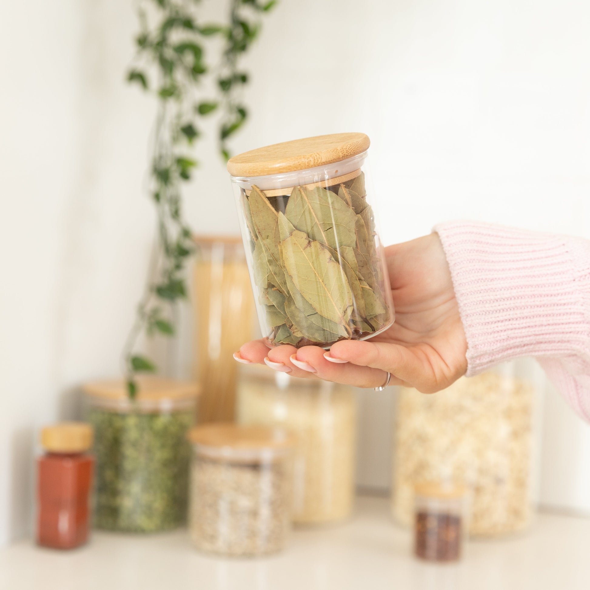 Herb & Spice Jars Large - 200ml - Little Label Co The Home of Organisation For Kitchen, Bathroom, Laundry & More